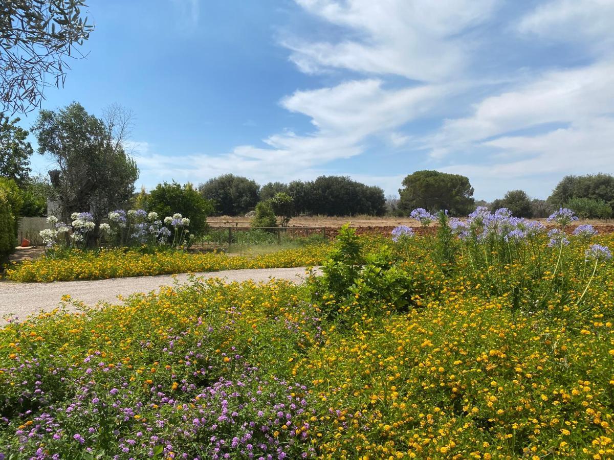 Casa Anna, Agriturismo Alla Castellana กัลลีโปลี ภายนอก รูปภาพ