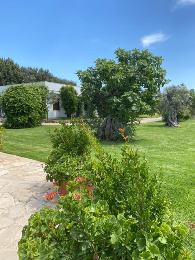 Casa Anna, Agriturismo Alla Castellana กัลลีโปลี ภายนอก รูปภาพ