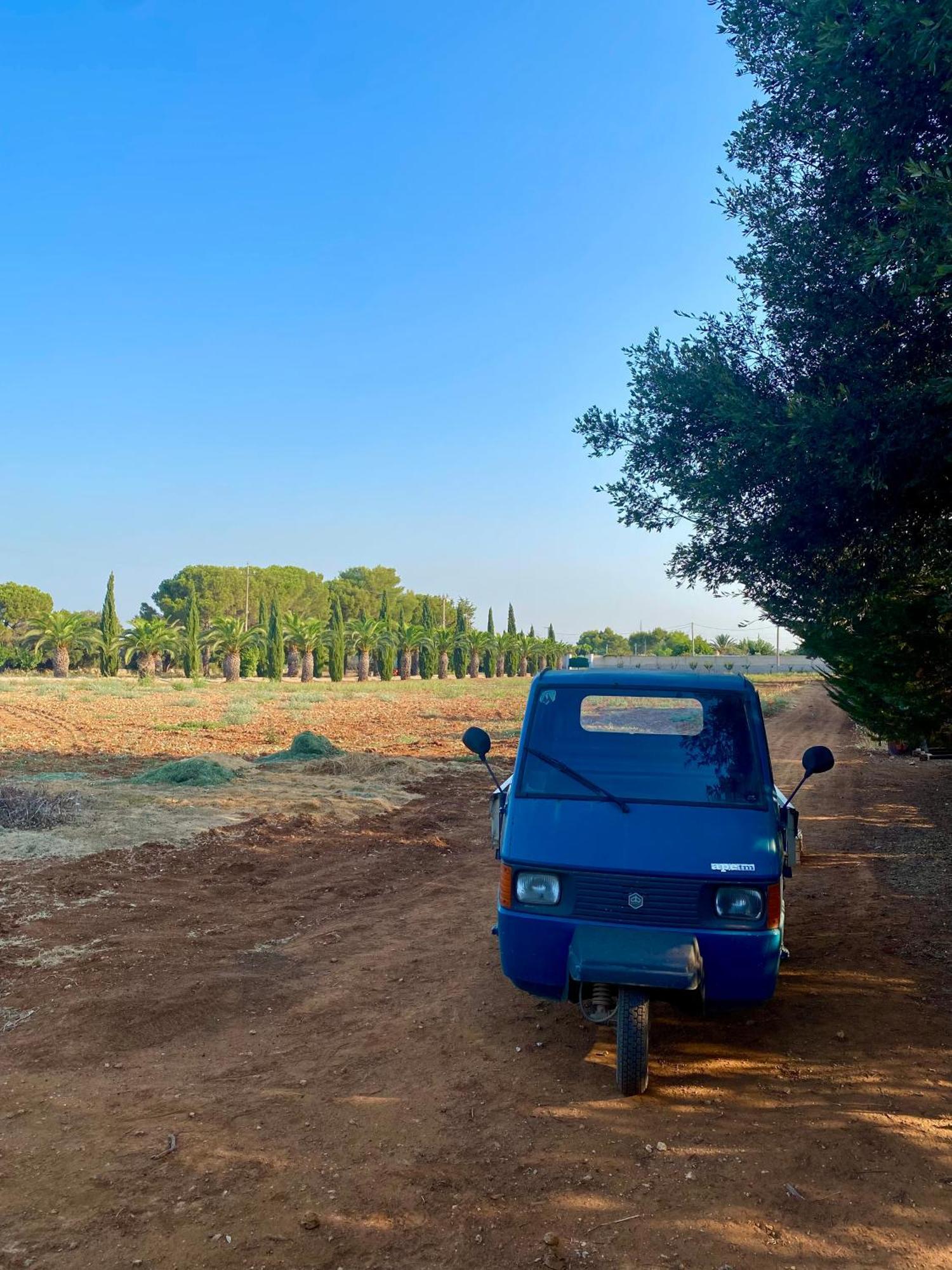 Casa Anna, Agriturismo Alla Castellana กัลลีโปลี ภายนอก รูปภาพ