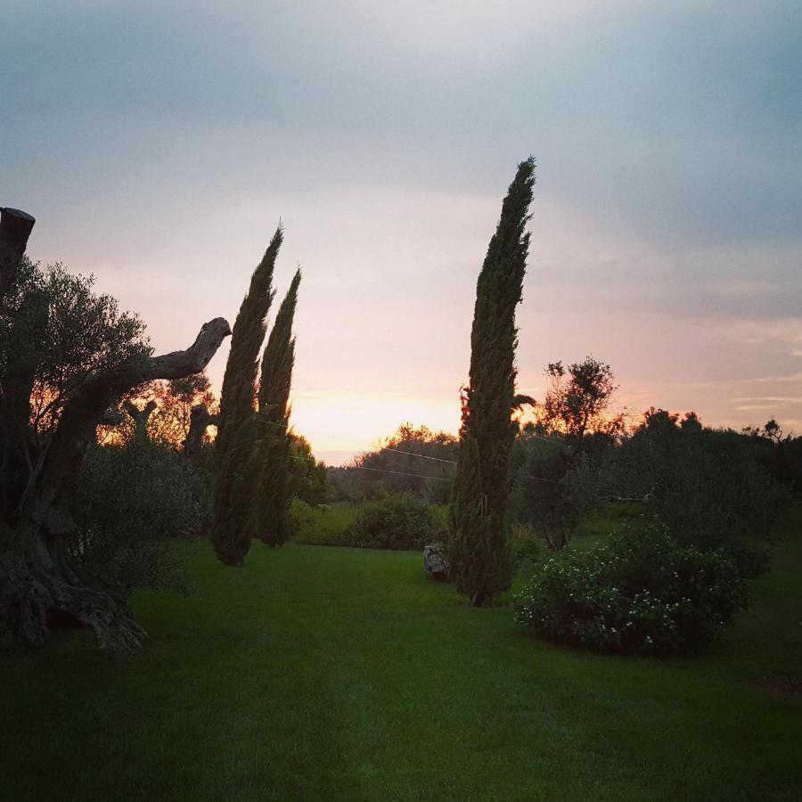 Casa Anna, Agriturismo Alla Castellana กัลลีโปลี ภายนอก รูปภาพ